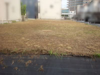 98号地から南東へ草刈後(’17夏)